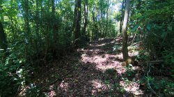 Sítio com 40.000,00m² no bairro Arroio Paixão 