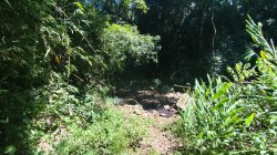 Sítio com 40.000,00m² no bairro Arroio Paixão 