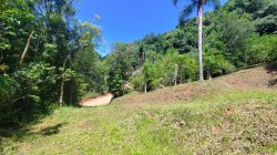 Sítio com 40.000,00m² no bairro Arroio Paixão 