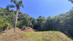 Sítio com 40.000,00m² no bairro Arroio Paixão 