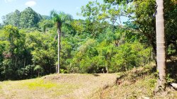 Sítio com 40.000,00m² no bairro Arroio Paixão 