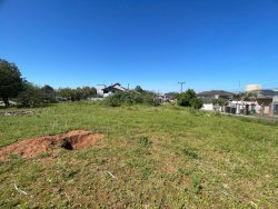 Terreno com 1.552,50m² no bairro Hamburgo Velho 