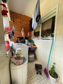 Casa com 03 dormitórios no bairro Canudos 