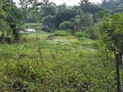 Terreno com 1.719,20m² no bairro Lomba Grande 