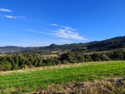 Área de 2 hectares no Alto Perus 