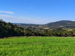 Área de 2 hectares no Alto Perus 