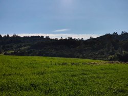 Área de 2 hectares no Alto Perus 