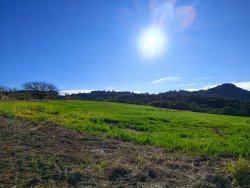 Área de 2 hectares no Alto Perus 