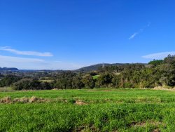 Área de 2 hectares no Alto Perus 