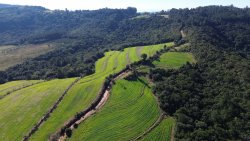 Área de 2 hectares no Alto Perus 