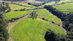 Área de 2 hectares no Alto Perus 