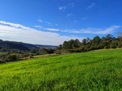 Área de 2,93 hectares no Alto Perus 