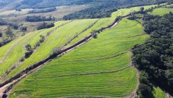 Área de 2,93 hectares no Alto Perus 