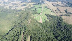 Área de 4,29 hectares no Alto Perus 