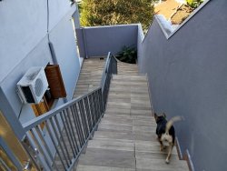 Sobrado com 260m² no bairro Liberdade 