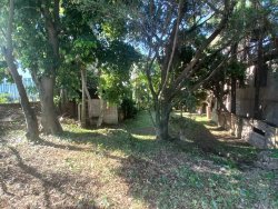 Terreno com construção antiga no bairro Canudos 