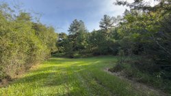 Sítio com 2 hectares no bairro Lomba Grande  