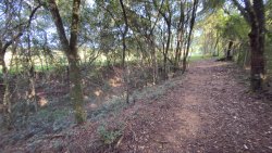Sítio com 2 hectares no bairro Lomba Grande  