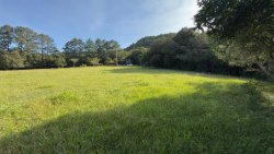 Sítio com 2 hectares no bairro Lomba Grande  