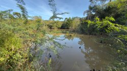 Sítio com 2 hectares no bairro Lomba Grande  