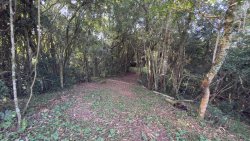 Sítio com 2 hectares no bairro Lomba Grande  