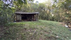 Sítio com 2 hectares no bairro Lomba Grande  