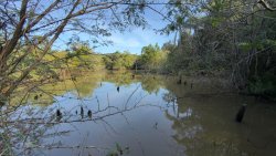Sítio com 2 hectares no bairro Lomba Grande  
