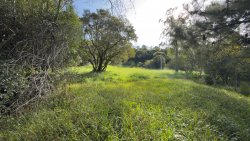 Sítio com 2 hectares no bairro Lomba Grande  
