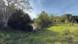 Sítio com 2 hectares no bairro Lomba Grande  