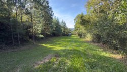 Sítio com 2 hectares no bairro Lomba Grande  