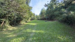 Sítio com 2 hectares no bairro Lomba Grande  