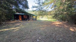Sítio com 2 hectares no bairro Lomba Grande  