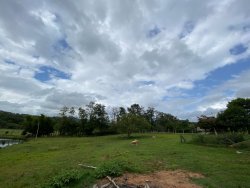 Sítio com 2,5 hectares no bairro Lomba Grande 