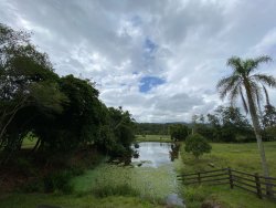 Sítio com 2,5 hectares no bairro Lomba Grande 