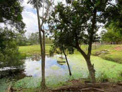 Sítio com 2,5 hectares no bairro Lomba Grande 