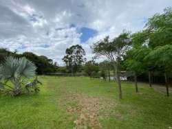 Sítio com 2,5 hectares no bairro Lomba Grande 