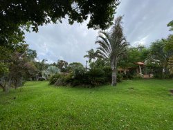 Sítio com 2,5 hectares no bairro Lomba Grande 
