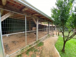 Sítio com 2,5 hectares no bairro Lomba Grande 