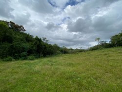 Sítio com 2,5 hectares no bairro Lomba Grande 
