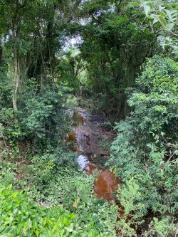 Sítio com 2,5 hectares no bairro Lomba Grande 