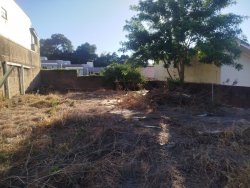 Terreno plano com 300m² no bairro Canudos 