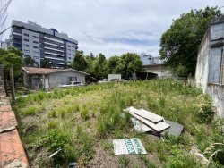 Terreno com 439m² no bairro Rio Branco  