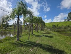 Sítio com 4,00 hectares e 03 açudes no bairro Lomba Grande  