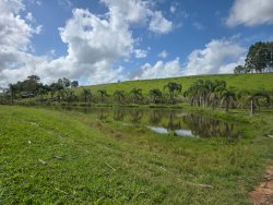 Sítio com 4,00 hectares e 03 açudes no bairro Lomba Grande  