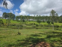 Sítio com 4,00 hectares e 03 açudes no bairro Lomba Grande  