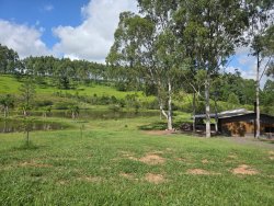 Sítio com 4,00 hectares e 03 açudes no bairro Lomba Grande  