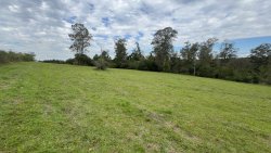 Área de terra com 2,00 hectares no Bairro Lomba Grande 