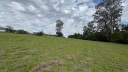 Área de terra com 2,00 hectares no Bairro Lomba Grande 