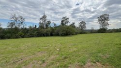 Área de terra com 2,00 hectares no Bairro Lomba Grande 