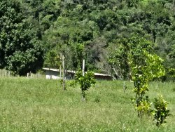 Sítio com 23.240m² no bairro Lomba Grande 